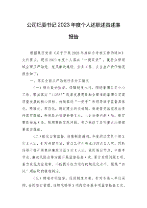 公司纪委书记2023年度个人述职述责述廉报告.docx