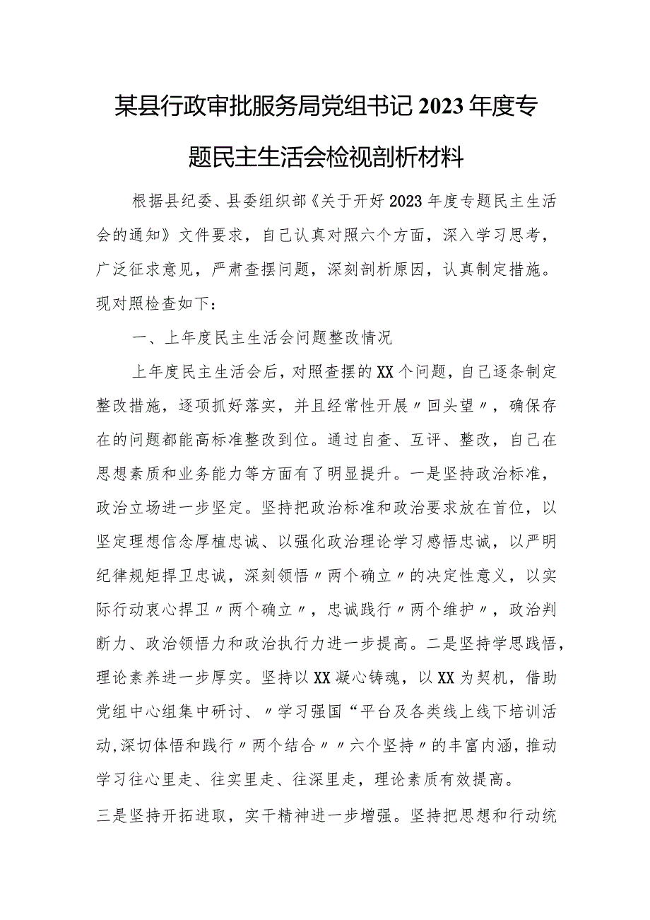 某县行政审批服务局党组书记2023年度专题民主生活会检视剖析材料.docx_第1页