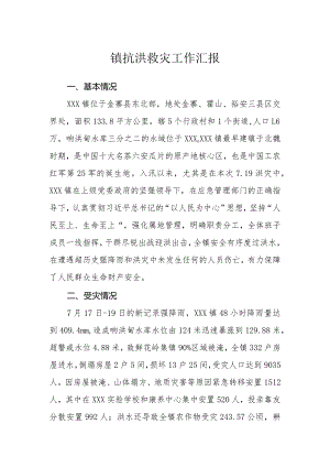 镇抗洪救灾工作汇报.docx