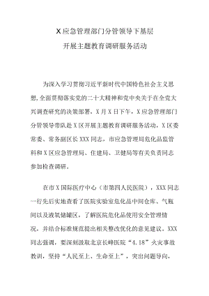 X应急管理部门分管领导下基层开展主题教育调研服务活动.docx