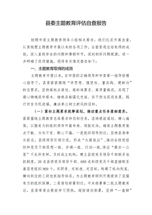 县委主题教育评估自查报告.docx