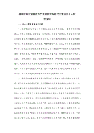 县政府办公室督查专员主题教育专题民主生活会个人发言提纲.docx