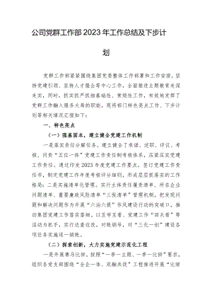 公司党群工作部2023年工作总结及下步计划.docx