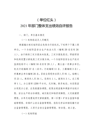 单位红头2021年部门整体支出绩效自评报告.docx