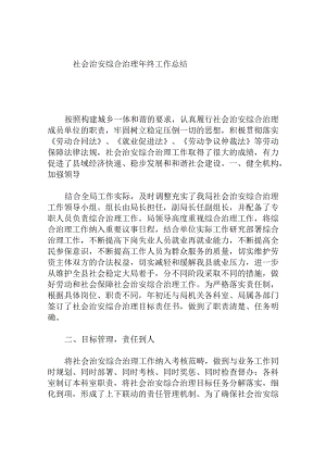 社会治安综合治理年终工作总结.docx