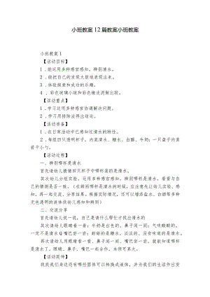 小班教案12篇 教案小班教案.docx