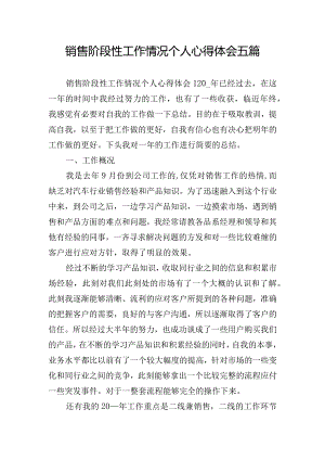 销售阶段性工作情况个人心得体会五篇.docx