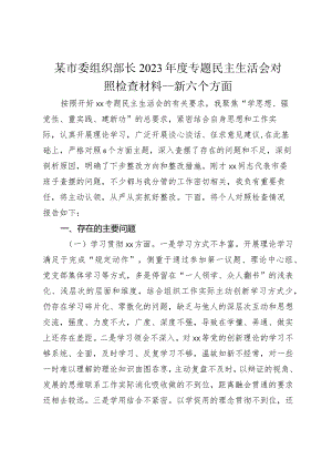 某市委组织部长2023-2024年度专题民主生活会新六个方面个人对照检查材料.docx