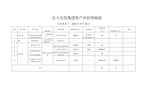 注入交发集团资产评估明细表.docx