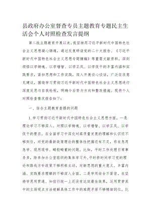 县政府办公室督查专员主题教育专题民主生活会个人对照检查发言提纲.docx