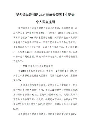 某乡镇党委书记2023年度专题民主生活会个人发言提纲.docx