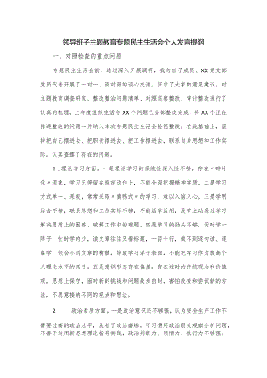 领导班子主题教育专题民主生活会个人发言提纲.docx