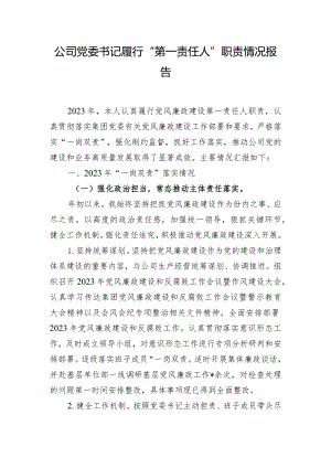 公司党委书记履行“第一责任人”职责情况报告.docx