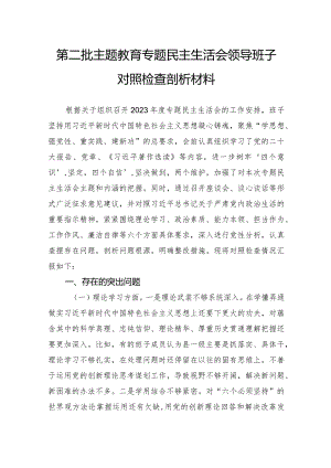 第二批主题教育专题民主生活会领导班子对照检查剖析材料.docx