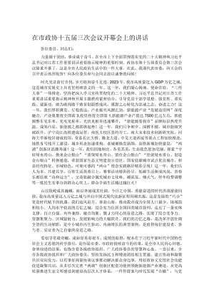 在市政协十五届三次会议开幕会上的讲话.docx