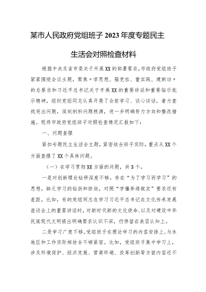 某市人民政府党组班子2023年度专题民主生活会对照检查材料.docx