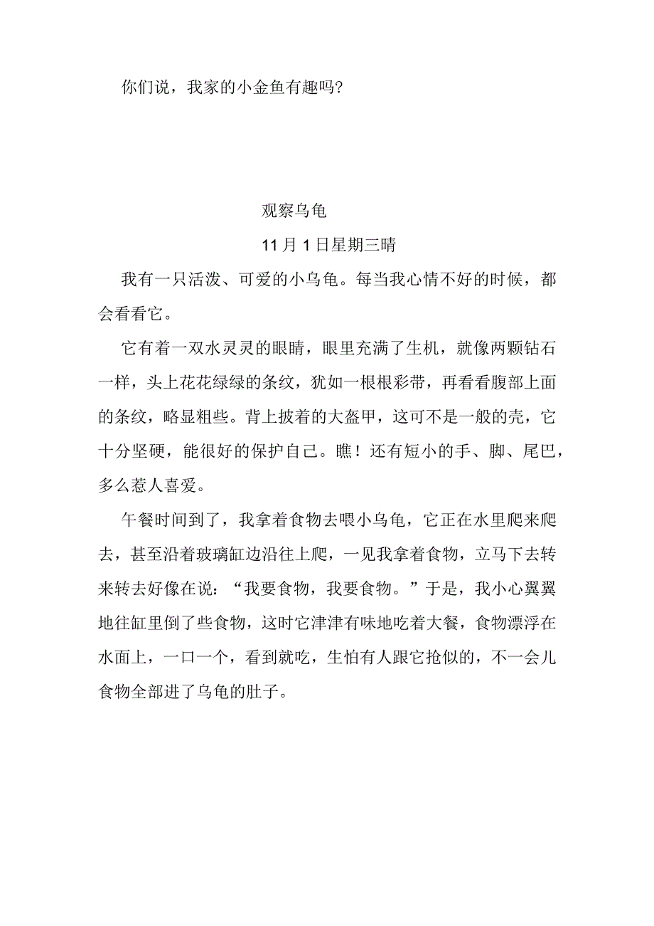 观察桔子小金鱼日记.docx_第3页