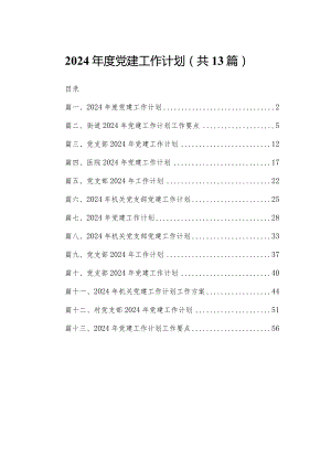 2024年度党建工作计划13篇(最新精选).docx