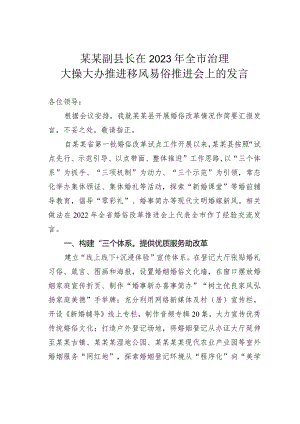 某某副县长在2023年全市治理大操大办推进移风易俗推进会上的发言.docx