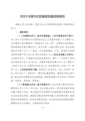 2023年度书记抓党建述职报告.docx