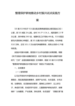 整理保护耕地推动乡村振兴试点实施方案.docx