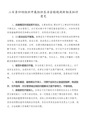 二百条归纳组织开展组织生活会检视剖析相互批评意见.docx