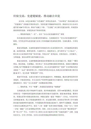 经验交流：党建链赋能推动融合共促.docx