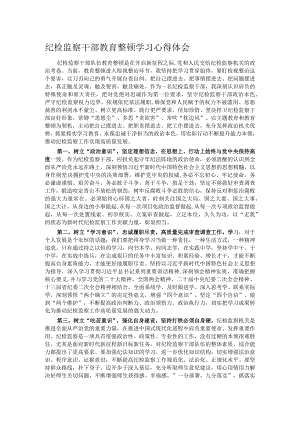 纪检监察干部教育整顿学习心得体会.docx