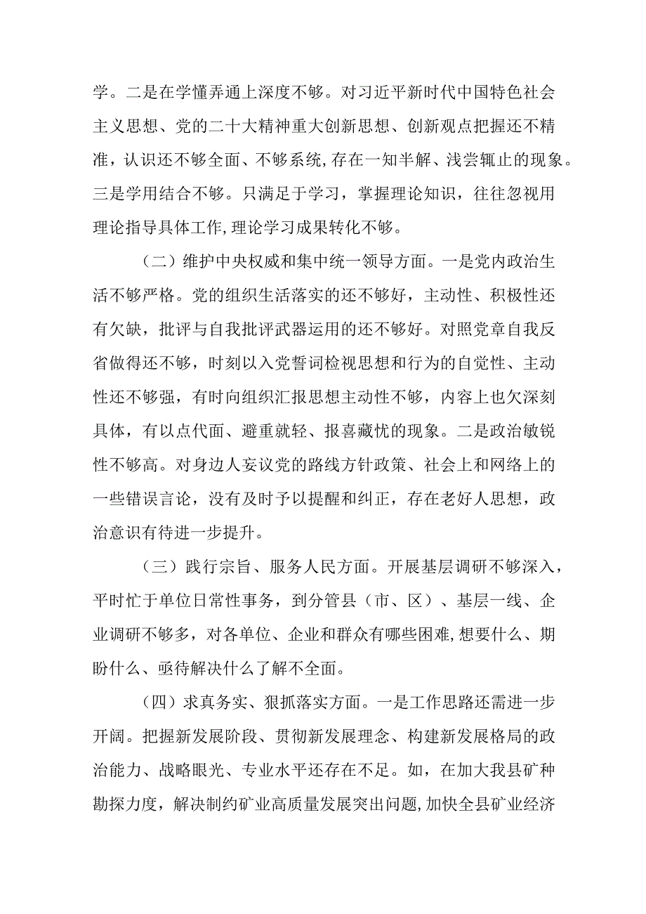 2篇对照树立和践行正确政绩观及反面典型案例检视全面梳理问题深刻剖析原因整改整治剖析八个方面专题民主生活会对照检查发言材料.docx_第2页