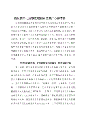 县区委书记关于应急管理和安全生产研讨发言.docx