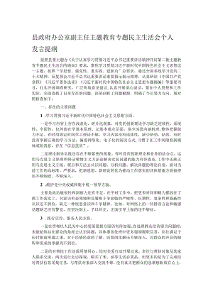 县政府办公室副主任主题教育专题民主生活会个人发言提纲.docx