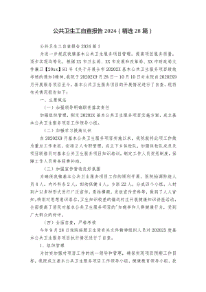 公共卫生工自查报告2024（精选28篇）.docx