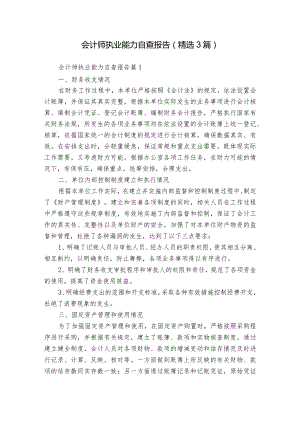 会计师执业能力自查报告（精选3篇）.docx