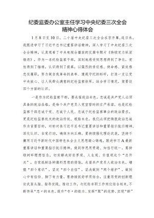 纪委监委办公室主任学习纪委三次全会精神心得体会.docx