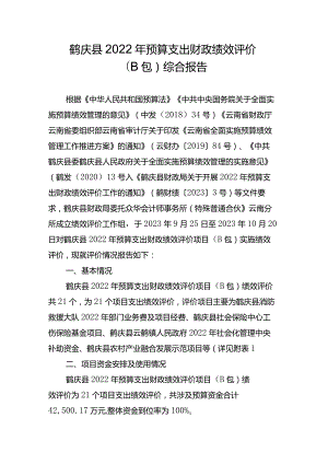 鹤庆县2022年预算支出财政绩效评价B包综合报告.docx