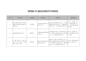 陕西省5G融合应用标杆引领项目.docx