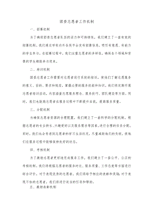 团委志愿者工作机制.docx