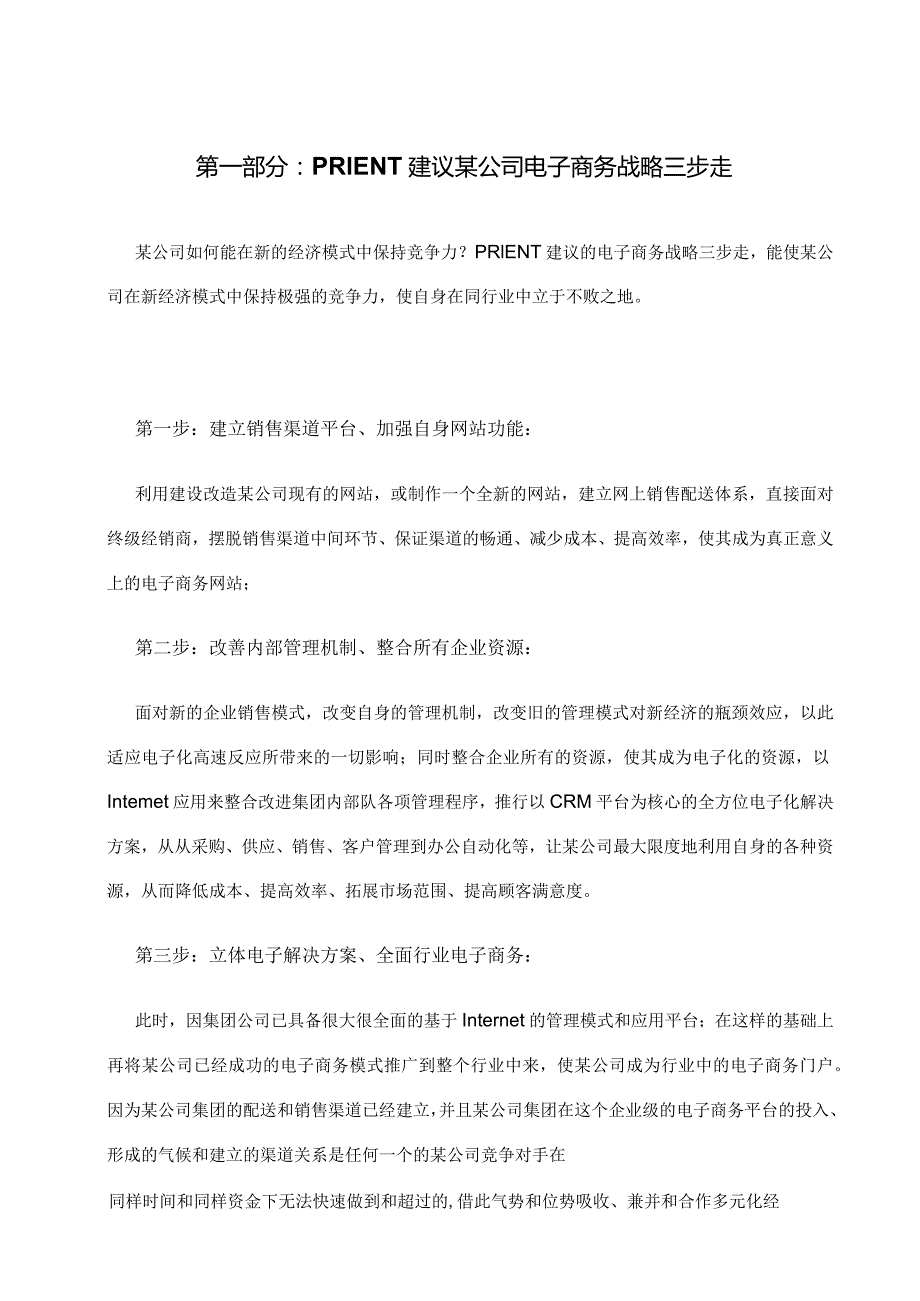 某公司电子商务发展战略实施报告.docx_第2页