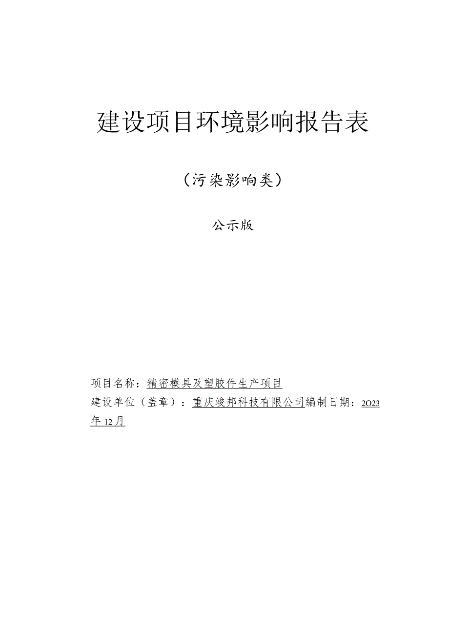 精密模具及塑胶件生产项目环境报告表.docx_第1页