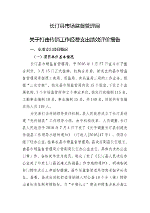 长汀县市场监督管理局关于打击传销工作经费支出绩效评价报告.docx