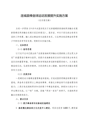 连城县棒垒球运动发展提升实施方案.docx