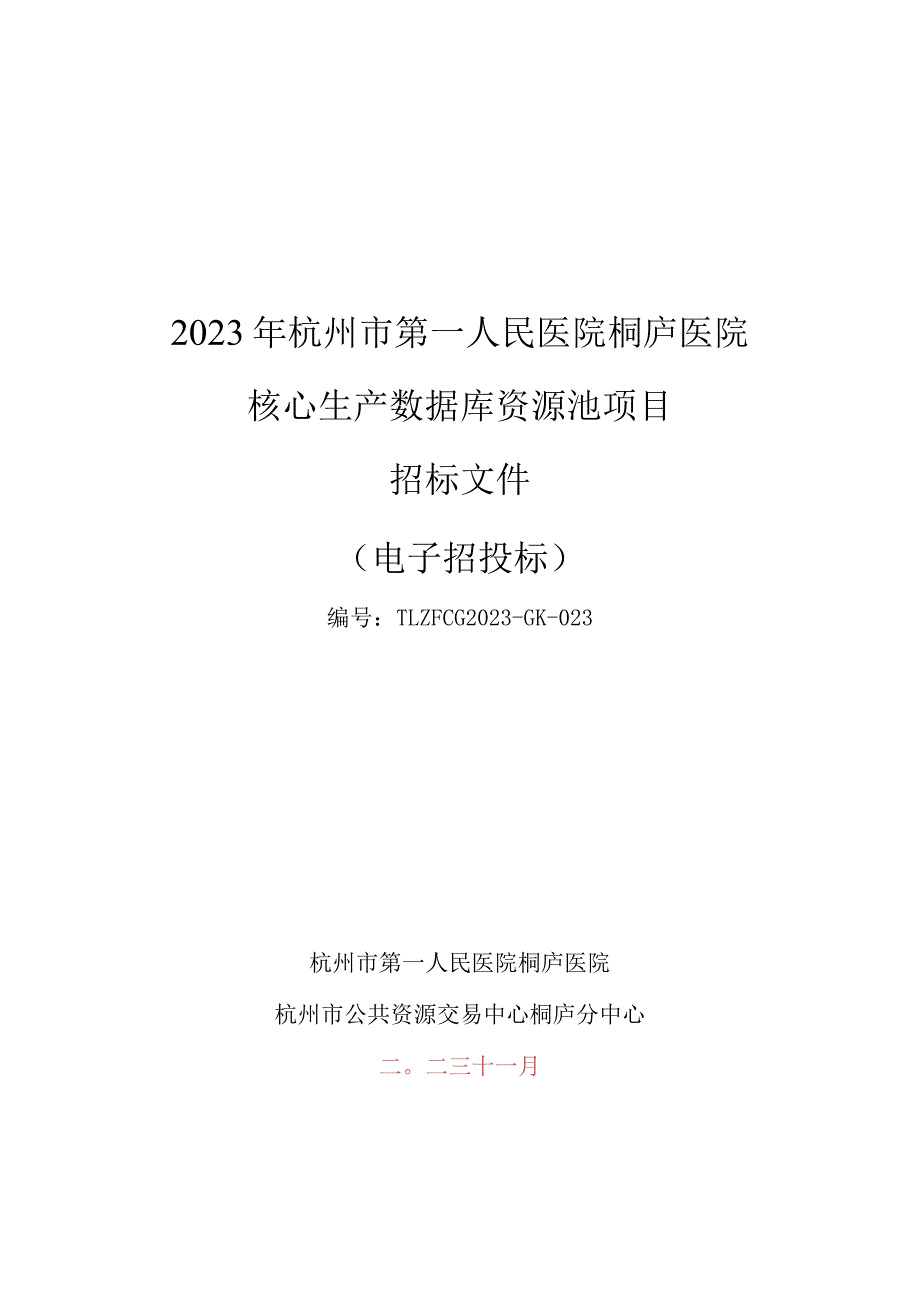 医院核心生产数据库资源池项目招标文件.docx_第1页