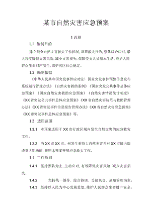 某市自然灾害应急预案.docx