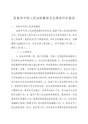 宜春市中级人民法院整体支出绩效评价报告.docx