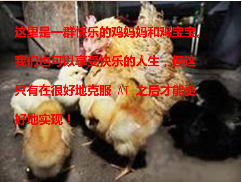 禽流感h7n9知识培训.ppt_第3页