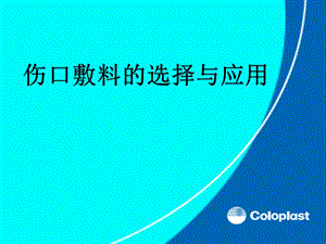 敷料的选择与应用.ppt