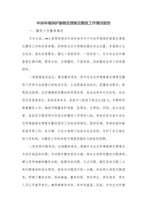 中央环境保护督察反馈意见整改工作情况报告.docx