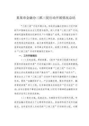 某某市金融办三抓三促行动开展情况总结.docx