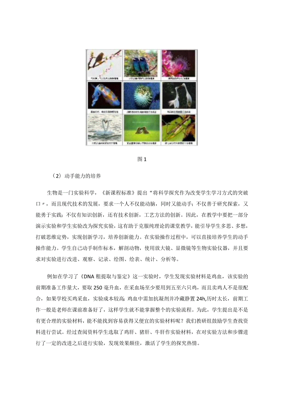 深挖教材基础实验激活主动探究能力论文.docx_第3页