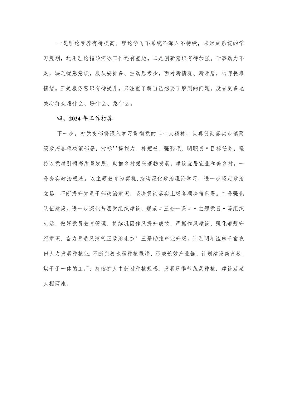 村2024年度基层党建工作述职报告.docx_第3页